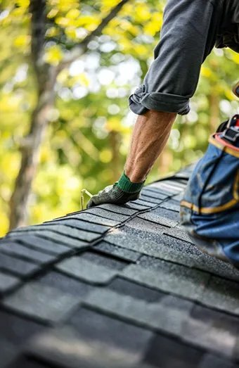 Shingle Roofing X